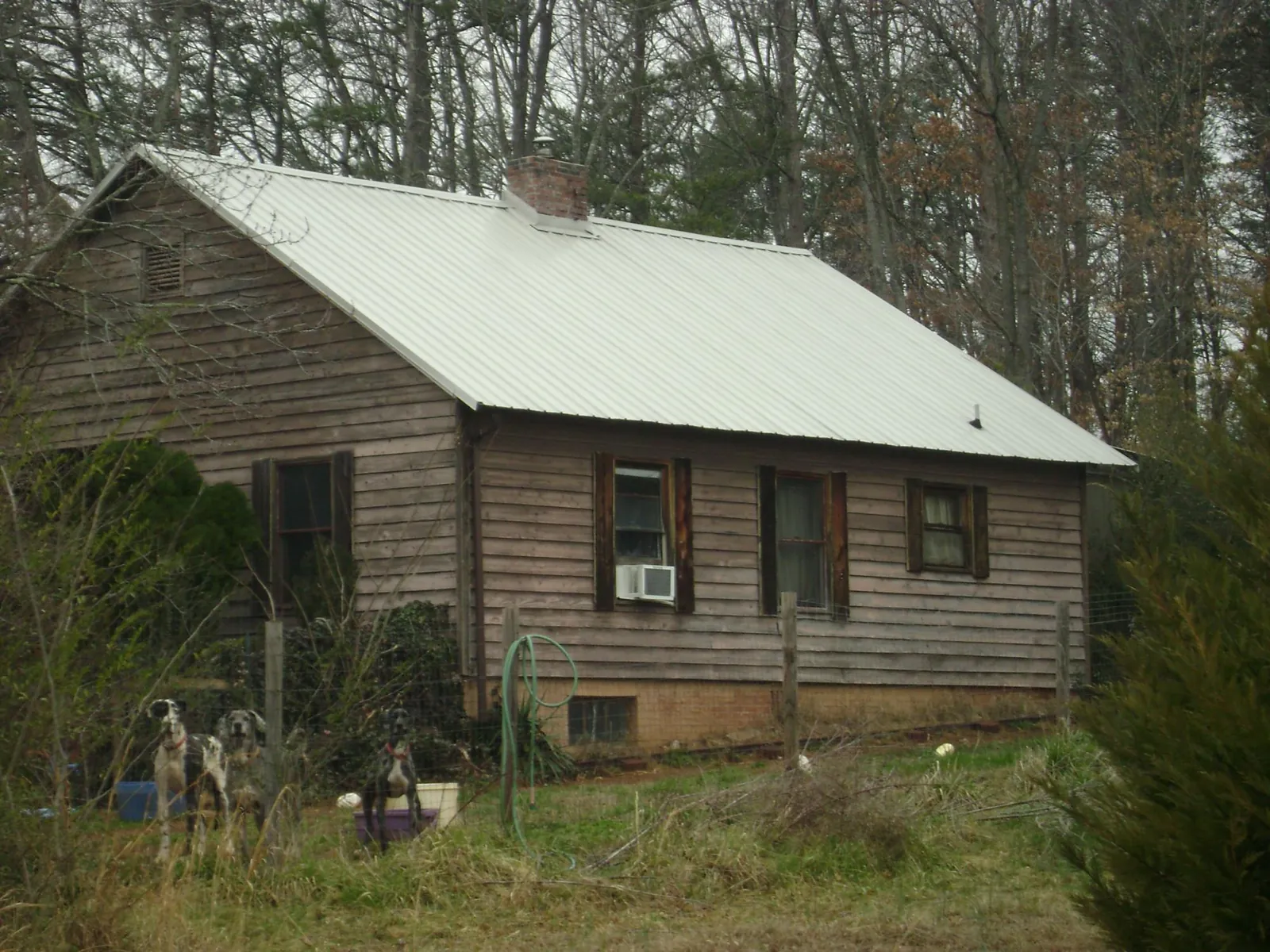 White metal roof on an old wood sided farmhouse, from a Metal Roof Installation job in Quilcene